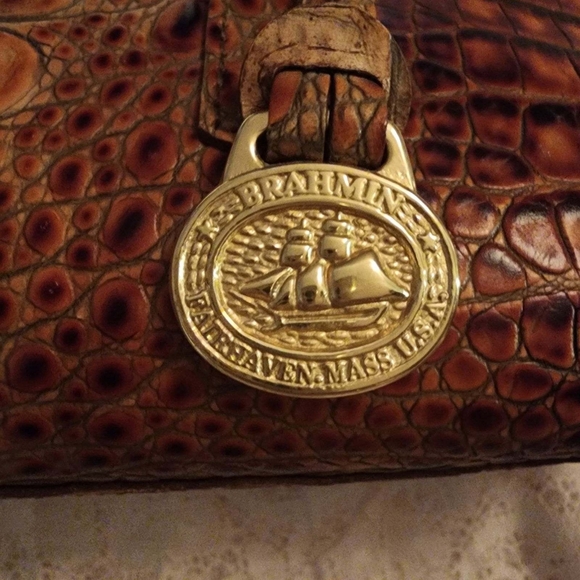 Brahmin - Picture 2 of 6